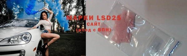 гашик Арсеньев