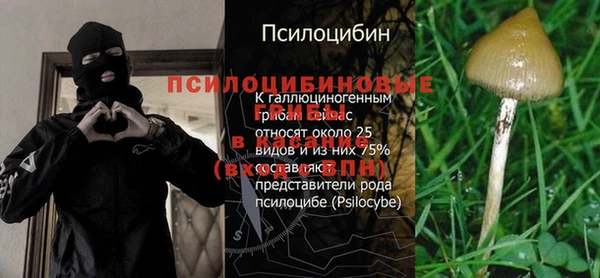гашик Арсеньев