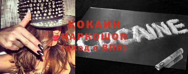 гашик Арсеньев