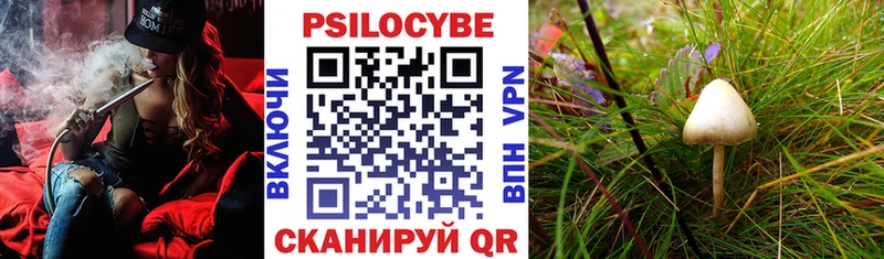 Галлюциногенные грибы ЛСД  кракен вход  Старица 